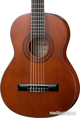 Акустическая гитара Naranda CG220-1/2