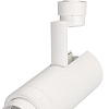 Трековый светильник Arlight LGD-ZEUS-2TR-R67-10W Warm3000 025908(1)
