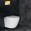 Панель смыва Roxen Santi 410260G