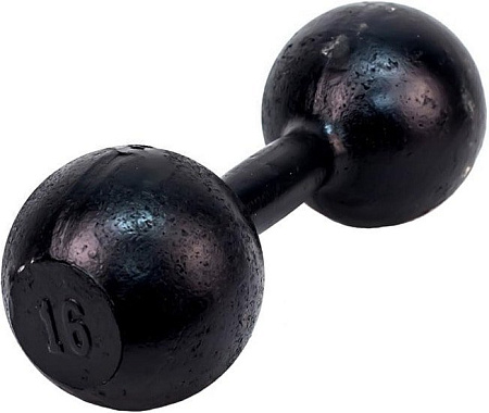 Гантели Titan Литая 16 кг.