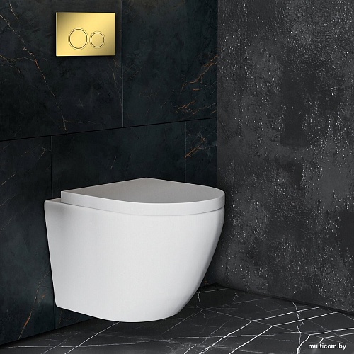 Панель смыва Roxen Santi 410260G