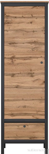 Шкаф распашной BRW Loft REG1D1S (дуб вотан/черный)