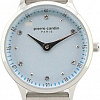 Наручные часы Pierre Cardin PC902682F301