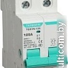 Выключатель нагрузки Tengen TGH1N-125, 2P, 100A, 2M TEN340017