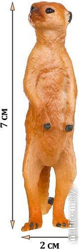 Фигурка Masai Mara Мир диких животных. Сурикат MM211-177