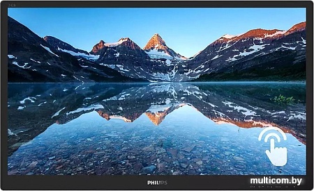 Монитор Philips 242B9TN/00