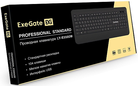 Клавиатура ExeGate Professional Standard LY-E5500M Color box