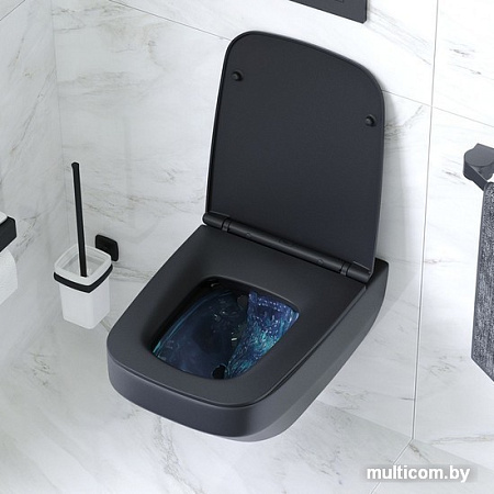 Унитаз AM.PM Inspire V2.0 C50A1700MBSC