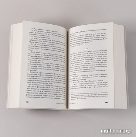 Книга издательства Альпина Паблишер. Центр тяжести (Поляринов А.)