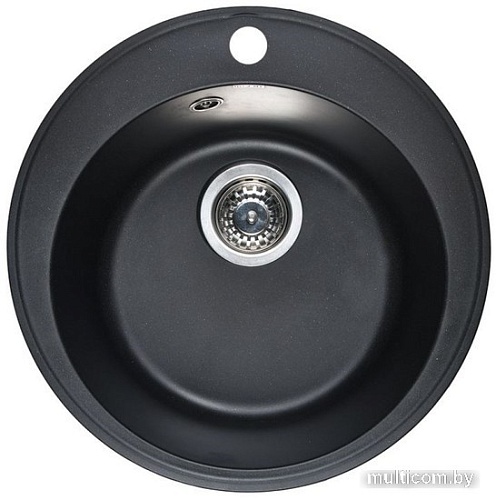 Кухонная мойка Wisent 480-25WR (с сифоном GER013)