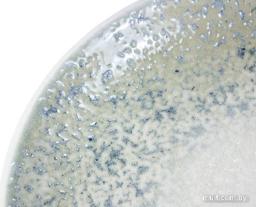 Тарелка обеденная By Bone Nature Ocean TN-NM-ZT-21-DZ