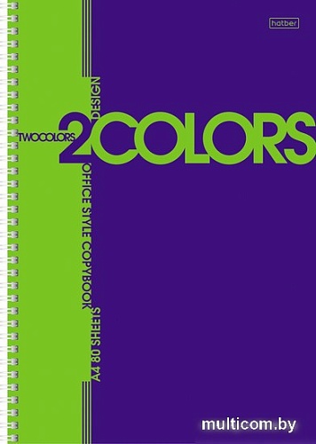 Общая тетрадь Hatber 2 colors 80Т4В1гр (80 л)