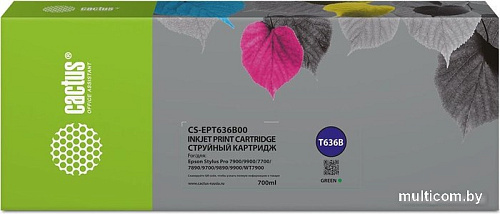 Картридж CACTUS CS-EPT636B00 (аналог Epson EPT636B00)