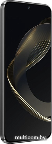 Смартфон Huawei nova 11 FOA-LX9 8GB/256GB (черный)