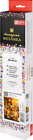 Алмазная мозаика Феникс+ Корги с лимонадом 70818