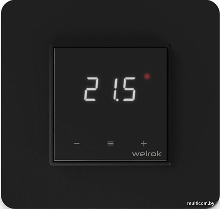Терморегулятор Welrok lis bk
