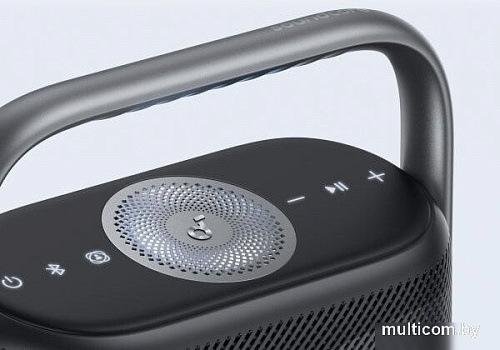 Беспроводная колонка Anker SoundCore Motion X500 (черный)