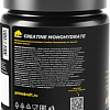 Моногидрат креатина Prime Kraft Creatine Monohydrate 100% (200г, ананас)