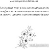 Книга издательства Freedom. Бессердечные изгои. Падший враг (Шэн Л.)