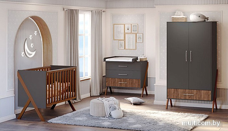 Шкаф распашной Polini Kids Porto 3100 0002573.164 (графит/дуб крафт)
