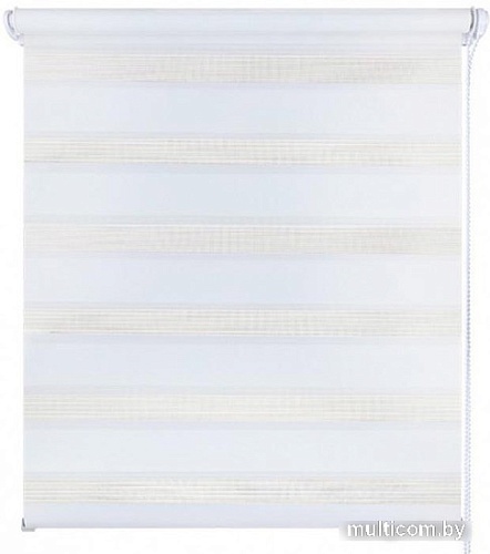 Шторы день-ночь Legrand День-Ночь 47x160 (снежно-белый)