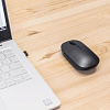 Мышь Xiaomi Mi Mouse 2 (черный)