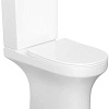 Унитаз Damixa Skyline DX35C8600SC (с сиденьем)