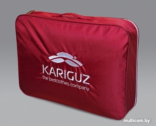 Спальная подушка Kariguz Элегантная Классика ЭКл12-3 (50x68 см)