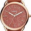 Наручные часы Fossil Tailor ES4420