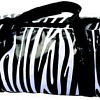 Рюкзак AceCamp Zebra Duffel Dry Bag 2468 (белый/черный)