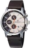 Наручные часы Daniel Klein DK11843-4