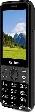 Телефон Xenium X800 (черный/серый)