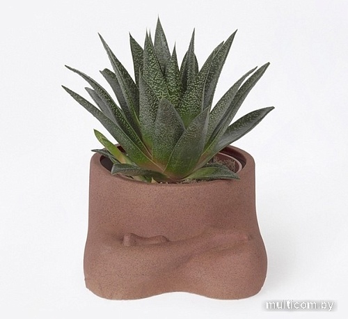 Кашпо Doiy Namaste DYNAMASPP