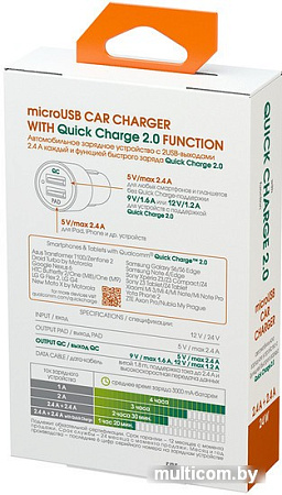 Зарядное устройство InterStep IS-CC-MICROQCRT-000B201