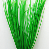 Искусственное растение Barbus Акорус Plant 007/50 (зеленый)