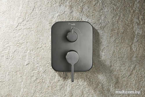 Смеситель Maxonor Pure Life PL84106-9