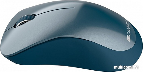 Мышь Canyon CNE-CMSW11BL