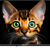 Телевизор Topdevice 42&amp;quot; Frameless BS04 (черный)