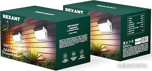 Уличный настенный светильник Rexant Карнаби 602-2415