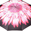 Зонт Rain Berry 734-23340.1 (черный/светло-розовый)