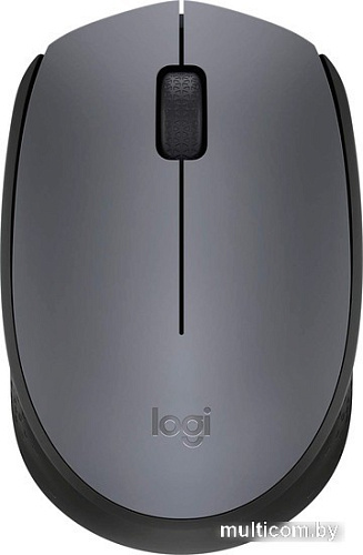 Мышь Logitech M171 (графит)