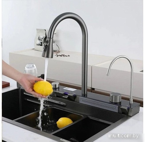 Кухонная мойка Wisent WG-37545BDF