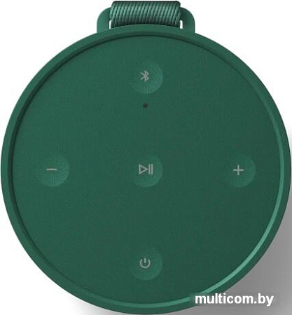 Беспроводная колонка Bang & Olufsen Beosound Explore (зеленый)