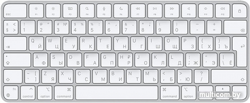 Клавиатура Apple Magic Keyboard MK2A3RS/A