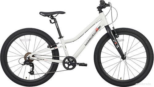 Велосипед Maxiscoo 3bike 24 L 2025 MSC-M3-2403 (серый, разобранный)