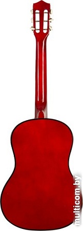 Акустическая гитара Belucci BC3825 N