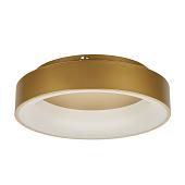 Припотолочная люстра Myfar Shannon MR2195-1PL