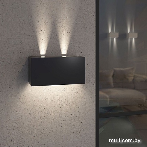 Уличный настенный светильник Elektrostandard Winner 35137/W (черный)