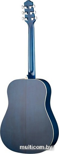 Акустическая гитара Naranda DG220BLS