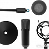 Микрофон Ritmix RDM-175